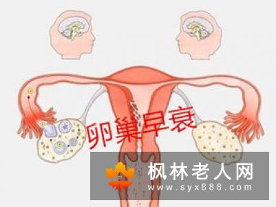 卵巢早衰护理方法有哪些