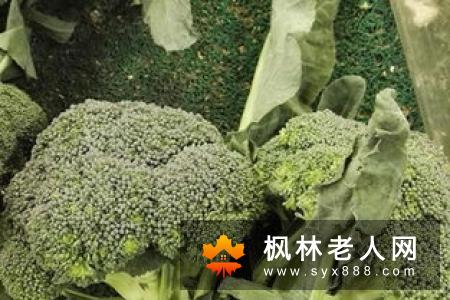 顿顿吃肉血脂正常 天天吃菜血脂却偏高