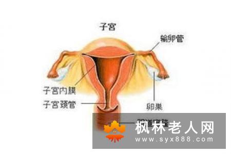 女性患上卵巢囊肿后应该怎么治