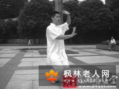 太极拳教程太极拳“步”与“身怎么练”