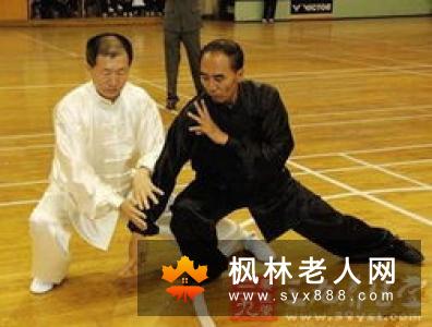 陈式太极拳基本功视频教程学习太极第一步