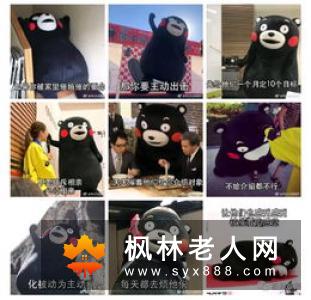 十大剩男标准你中招了吗 教你轻松脱单