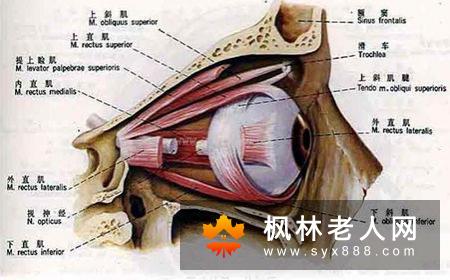 白内障潜伏期的8大症状