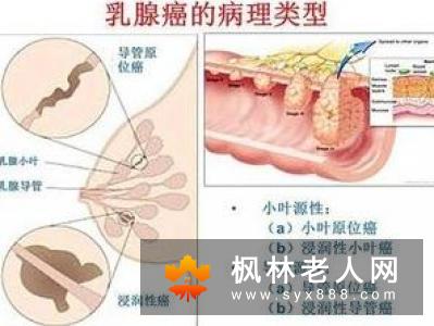 女性身体细节要处理好  以免出现尴尬