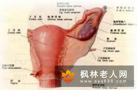 临床上卵巢囊肿患者有哪些典型发病信号