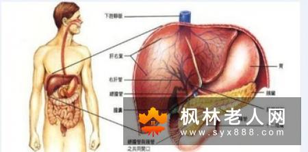脾气大易引起肝气郁结,按摩身上的7大“撒气穴位”,即能缓解情绪波动
