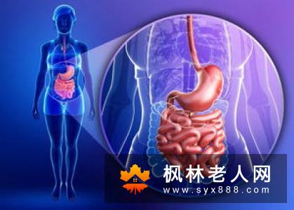 30天进食麦当劳的身体纪录