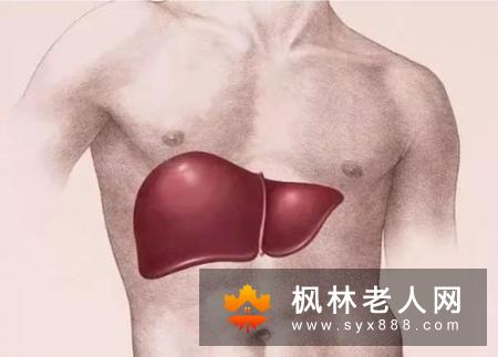 如何有效对身体排毒?有哪些方法?