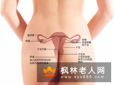 卵巢保养女人需要如何调理更健康
