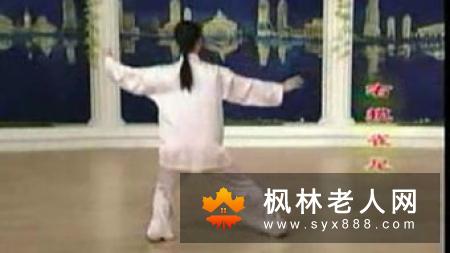吴阿敏老师的三十二式太极剑教学视频