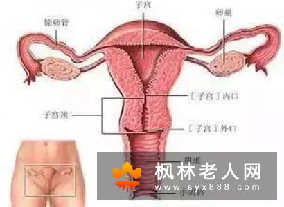 女性保养卵巢需懂的三大方法