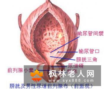 卵巢囊肿的治疗方法具体有哪些