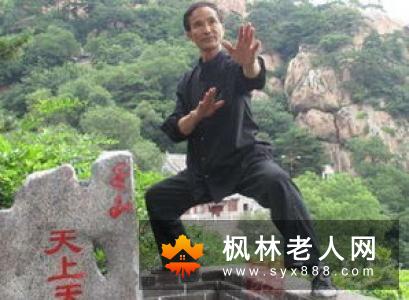 正宗太极拳85式视频教程学习杨式太极从这开始
