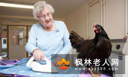 每天转动这6个部位 可帮助老年人延年益寿