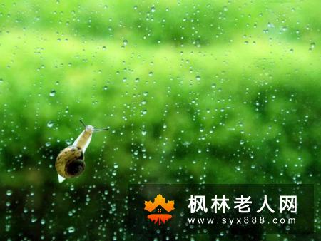 男性湿气重的症状是哪些
