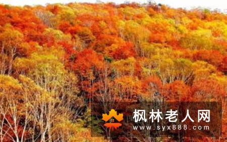 老年人健身最忌讳盲目行事