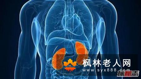 男人肾虚如何进补?多吃“黑”食物效果显着