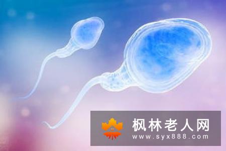 有效提高精子质量的要求有哪些