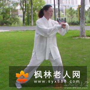 陈式太极拳基本功视频教程学习太极第一步