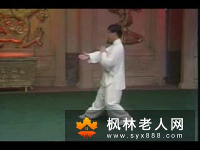 正宗太极拳85式视频教程学习杨式太极从这开始