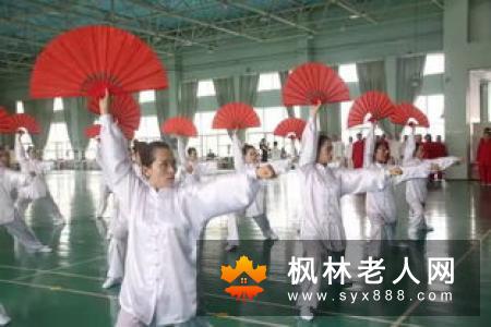 太极功夫扇完整套路演练及分段动作讲解