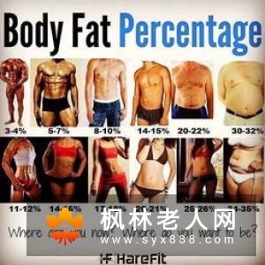 增长肌肉的十种最佳食品