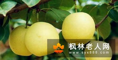 老人经常吃不下是怎么回事？  吃什么开胃呢？