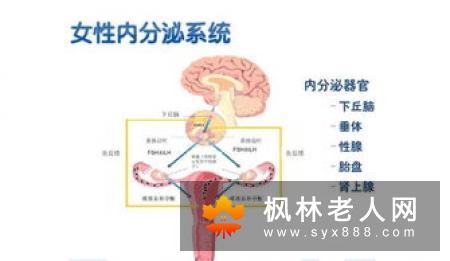 老年痴呆该怎样治疗?