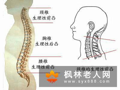 视频教你太极按摩颈肩部让颈椎病越来越远