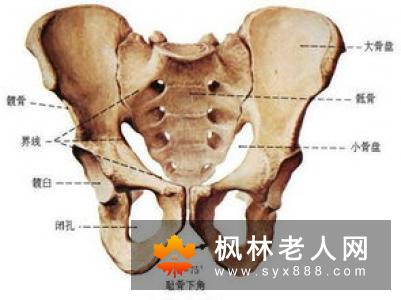 视频教你太极按摩颈肩部让颈椎病越来越远