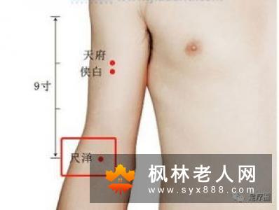 值得收藏老人常见病的食疗方(1)