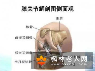 秋冬季老人如何保护膝关节 这几点要注意