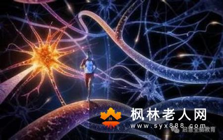 美国研究：学习摄影 老人大脑老得慢