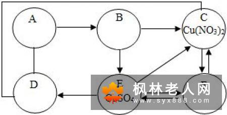 老年人如何补充铜元素?