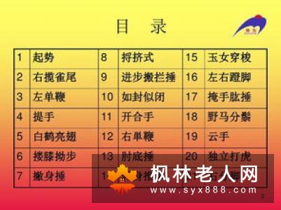 太极拳攻防教学42式太极拳攻防用法