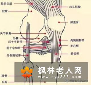 膝盖疼还能练太极吗