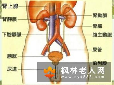 早发性老年痴呆的病因是什么