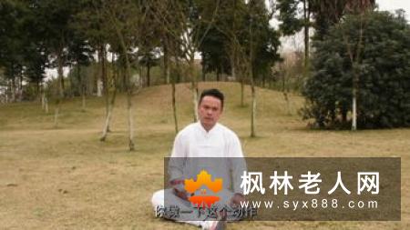 怎样自学陈氏太极拳