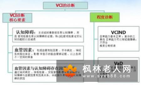 血管性痴呆在临床上分几类