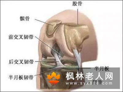 老年常见病需要积极锻炼   推荐几种康复锻炼方法