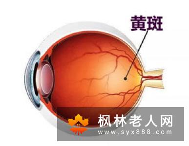 眼伤或致外伤性白内障