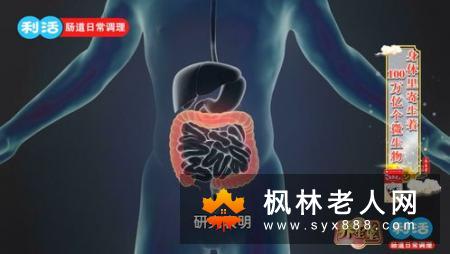 老年人易腹胀该怎么调理 这6点要注意