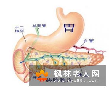 老年痴呆的发病原因是什么