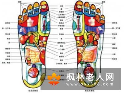 老人足部按摩是养生保健方式的最好方式