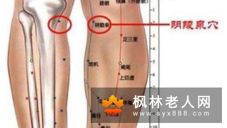 老人延年益寿秘方吃莲子