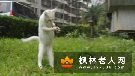 每天慢跑一小时可预防癌症