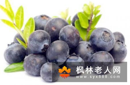 适合老人养生吃的食物有哪些