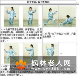 太极十三式的要领太极的养生