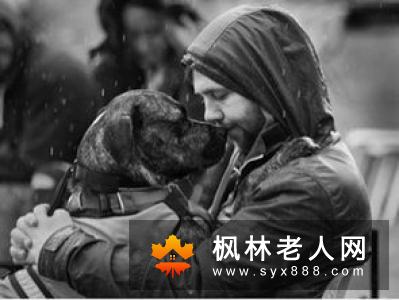 四成英国老人喜爱上网