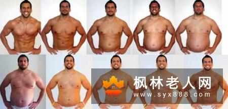 探秘：老人补蛋白质预防“肌肉变脂肪”